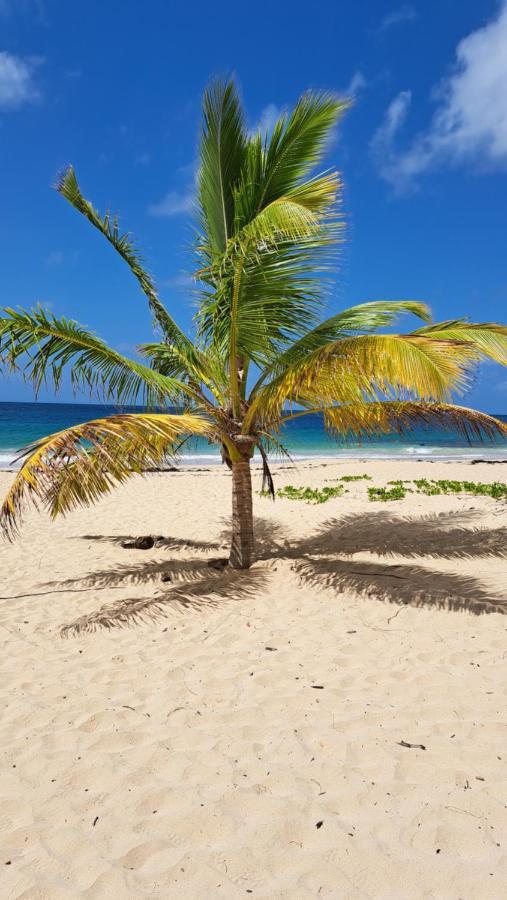 Studio Plage De L'Anse Caritan Sainte-Anne Εξωτερικό φωτογραφία